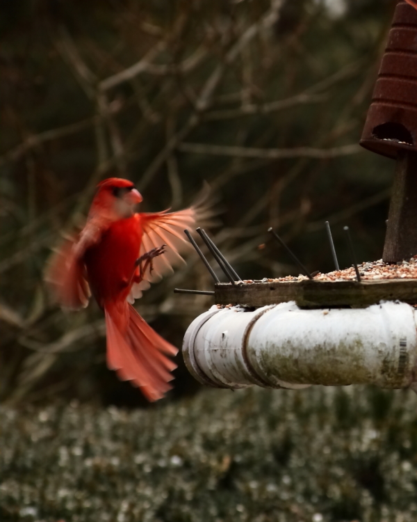 2013 03 03 IMG 6944e